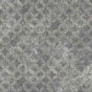 WDPB1702 cover