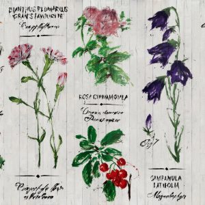 PIANTHUS WDPI1501 cover