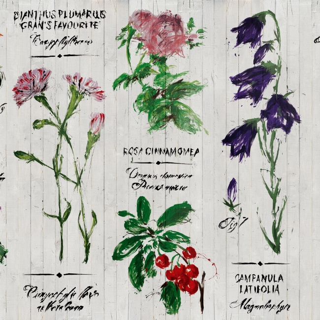 PIANTHUS WDPI1501 cover