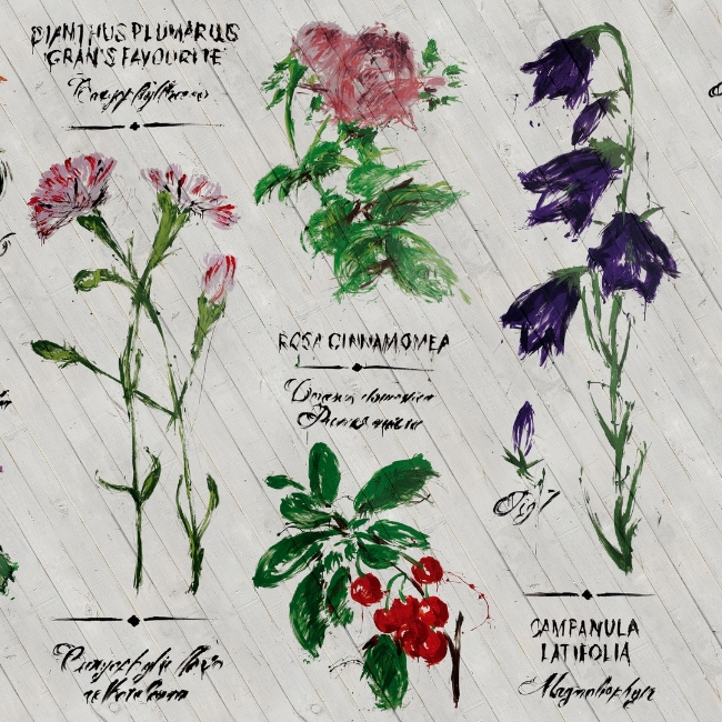 PIANTHUS WDPI1503 cover