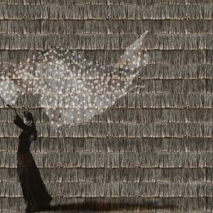 WDPP1902 cover