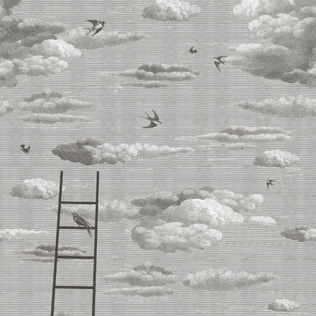 PRIMAVERA WDPR1501 cover