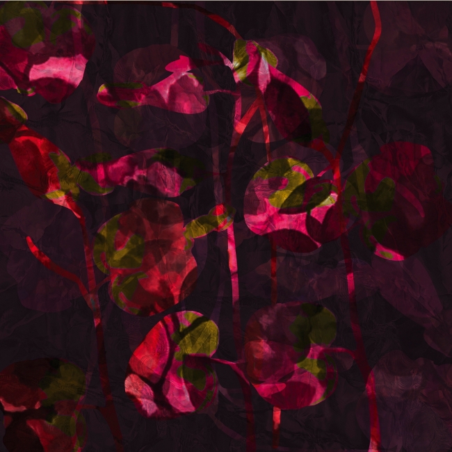 Tapeta Wall&Deco Passion WDPS2201 cover