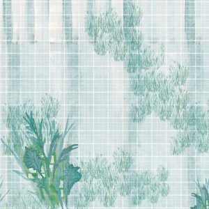 WDQU1701 TAPETA WALL&DECO cover