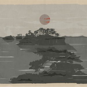 WDSA1901 cover