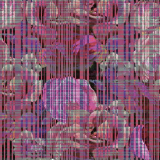 SHOCKING WDSH1801 cover