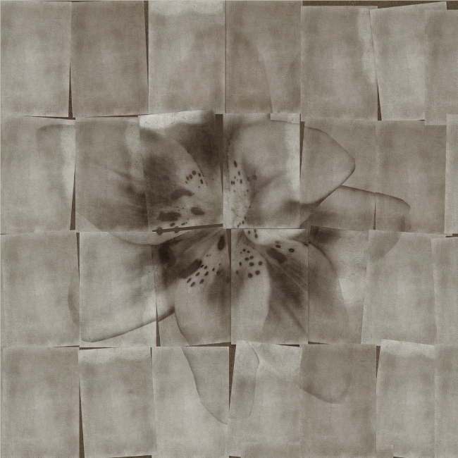 Tapeta Wall&Deco S’il vous plaît WDSI2201 cover