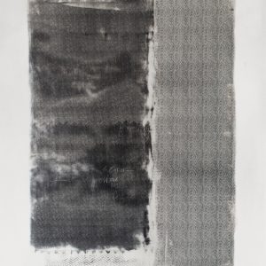 VIBRANTE WDVI1501 cover
