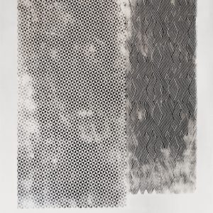 VIBRANTE WDVI1502 cover