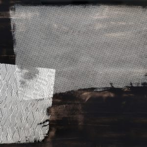 VIBRANTE WDVI1503 cover