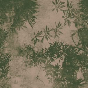 WDVI1801 TAPETA WALL&DECO cover