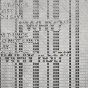 WHY NOT WDWN1501 cover