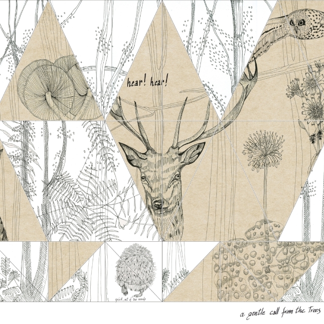 WOODLAND WDWO1501 cover