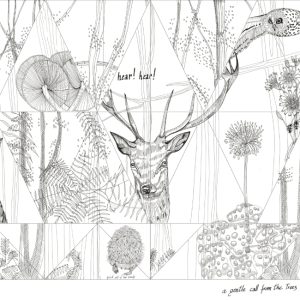 WOODLAND WDWO1502 cover