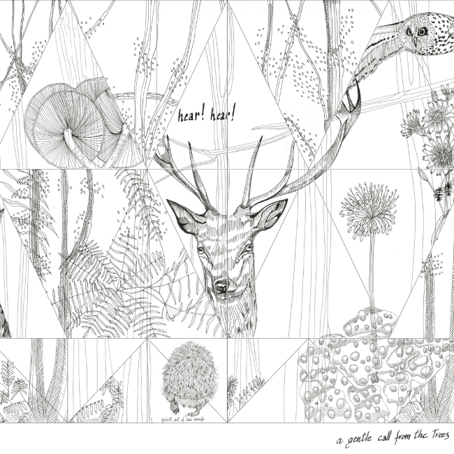 WOODLAND WDWO1502 cover
