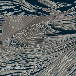 Fototapeta Wall&Deco Aqua Silence WET_AS2102 cover