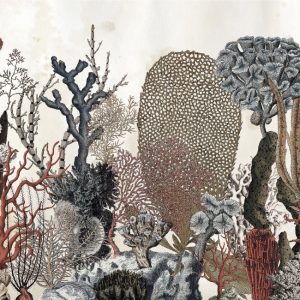 CORALFULL WET_CO1601 cover