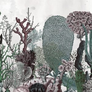 CORALFULL WET_CO1602 cover