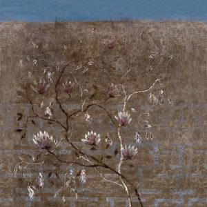 DEMETRA WET_DE1701 cover
