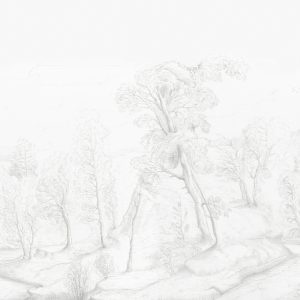 INNER FOREST WET_IF1601 WALL&DECO cover
