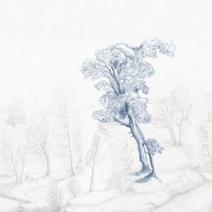 INNER FOREST WET_IF1602 WALL&DECO cover