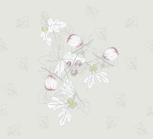 PLATONE WET_PL1801