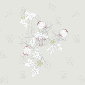 PLATONE WET_PL1801 cover