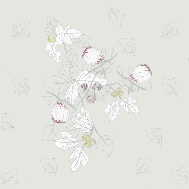 PLATONE WET_PL1801 cover
