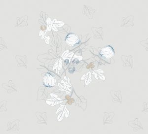 PLATONE WET_PL1802