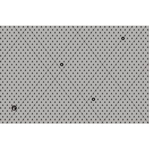 WHITE FLY WDWF1502