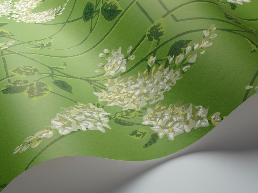 WISTERIA 115/5016 TAPETA