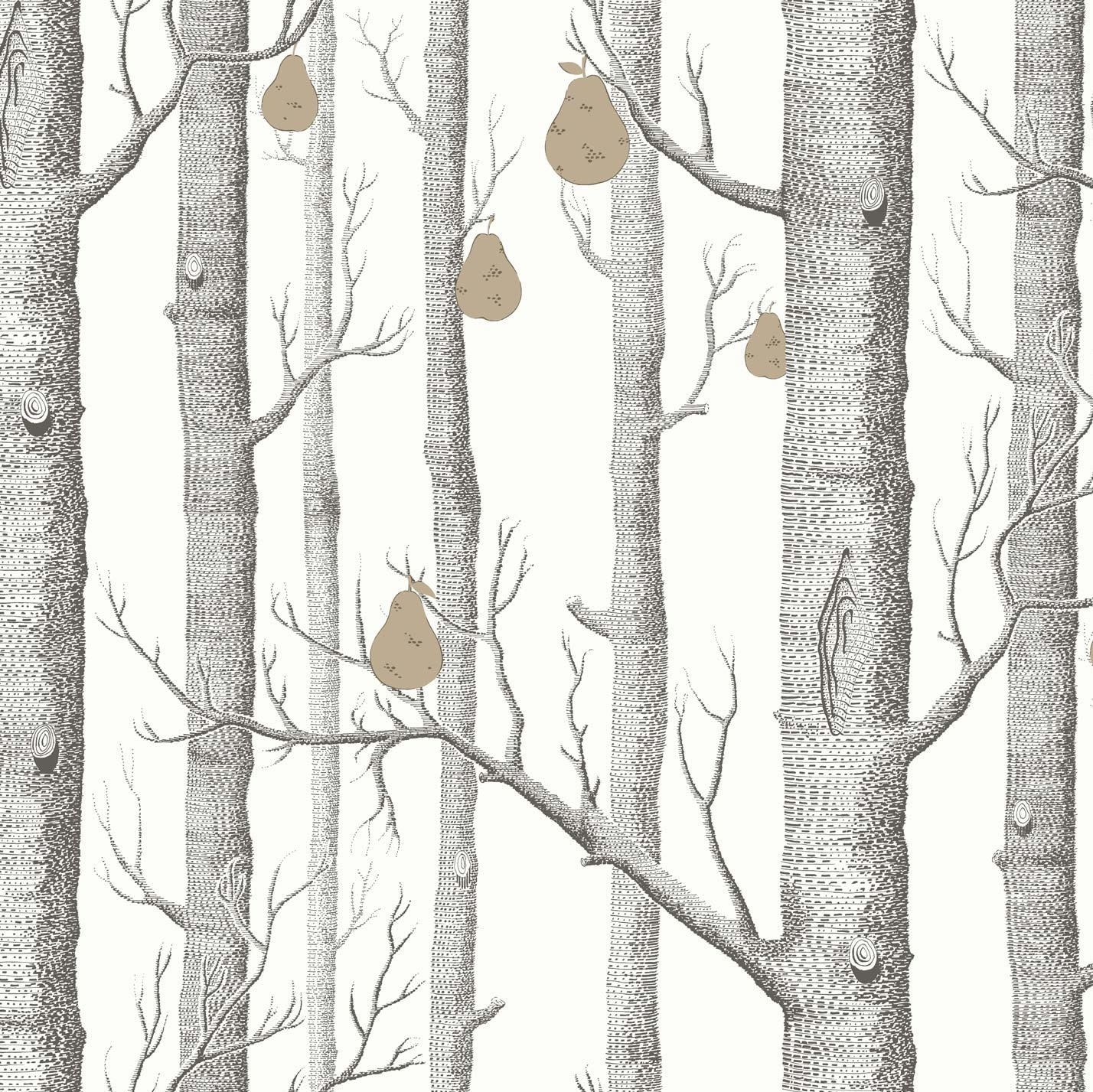 WOODS & PEARS 95/5027 TAPETA COLE&SON