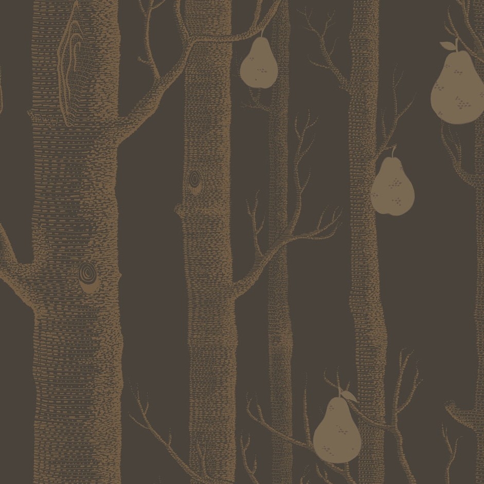 WOODS & PEARS 95/5028 TAPETA COLE&SON