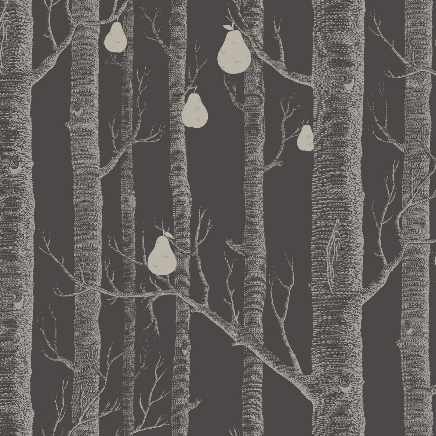 WOODS & PEARS 95/5031 TAPETA COLE&SON