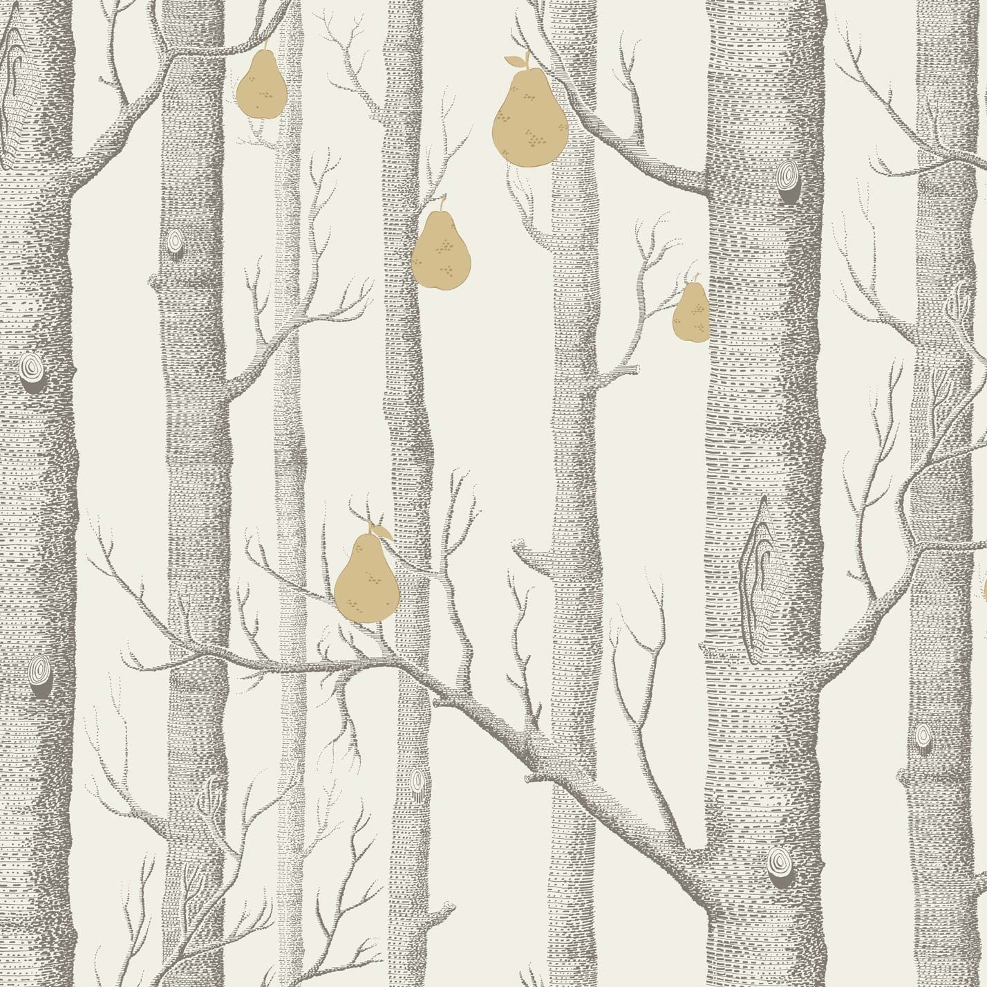 WOODS & PEARS 95/5032 TAPETA COLE&SON