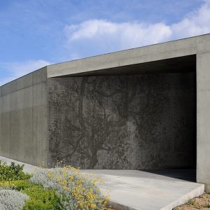 WOODPECKER TAPETA WALL&DECO