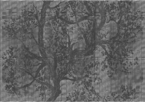 WOODPECKER OUT_WP1901