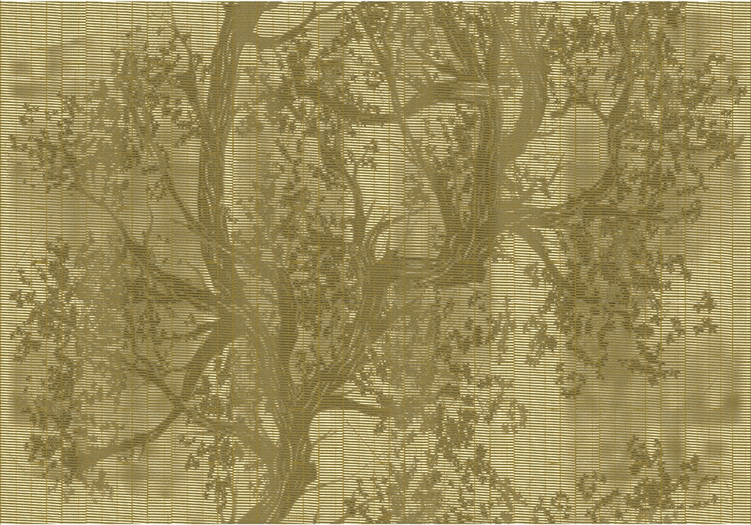 WOODPECKER OUT_WP1902