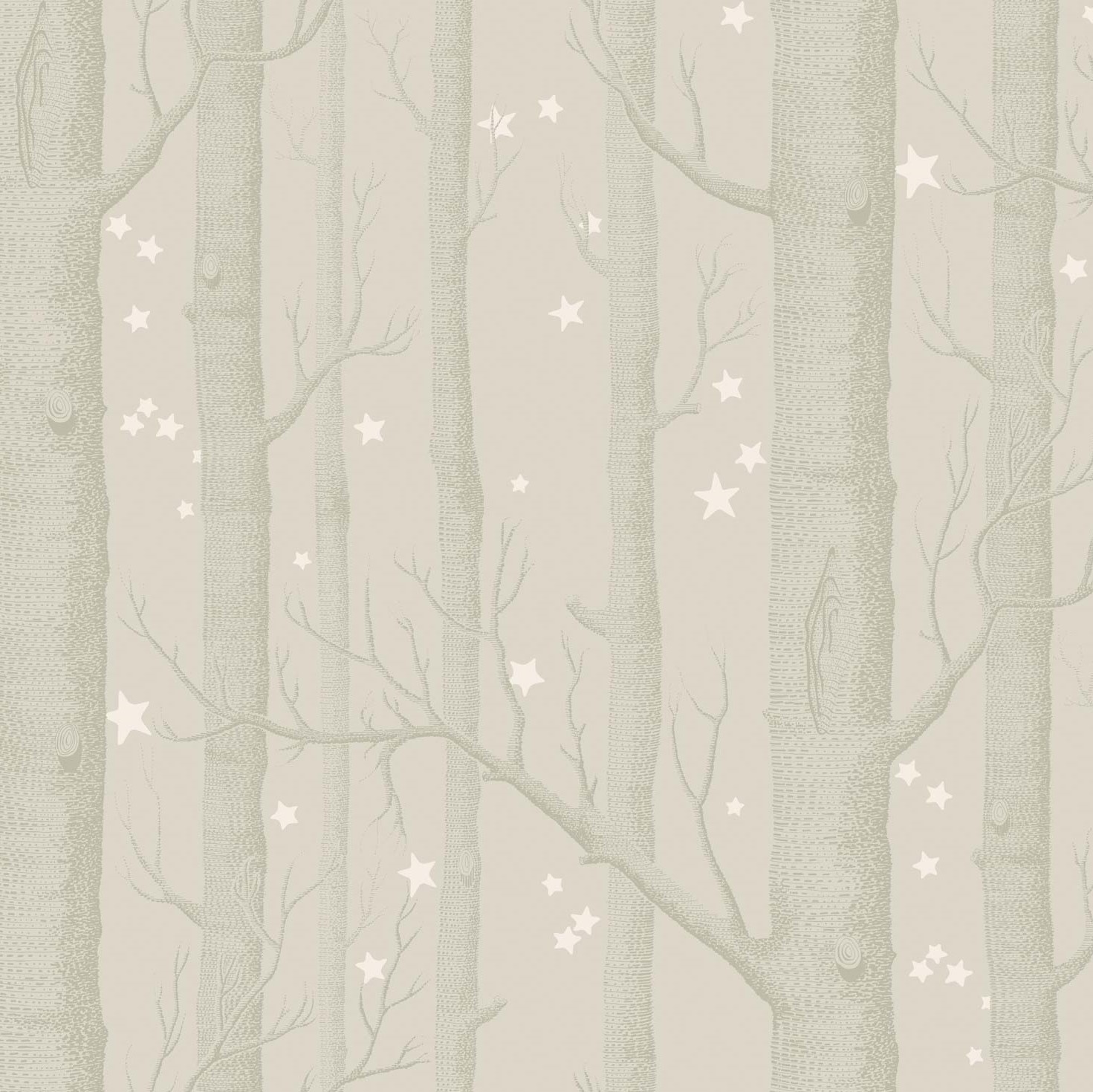WOODS & STARS 103/11048 TAPETA COLE&SON