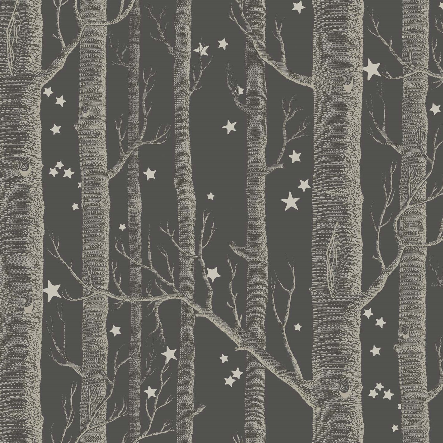 WOODS & STARS 103/11053 TAPETA COLE&SON