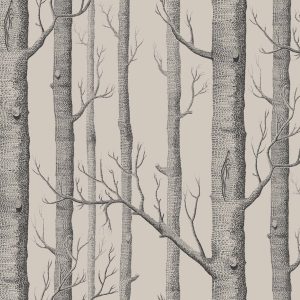 WOODS 112/3009 TAPETA COLE&SON
