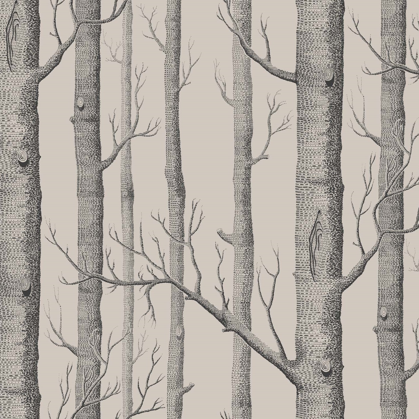 WOODS 112/3009 TAPETA COLE&SON