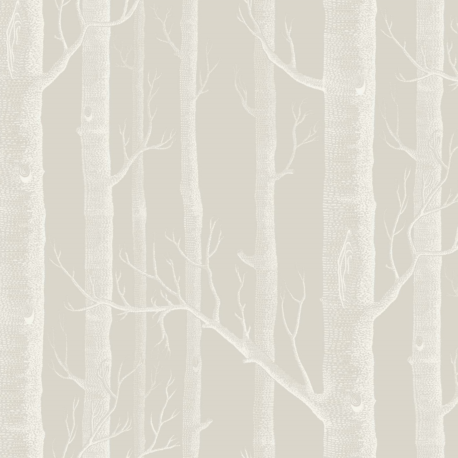WOODS 112/3010 TAPETA COLE&SON