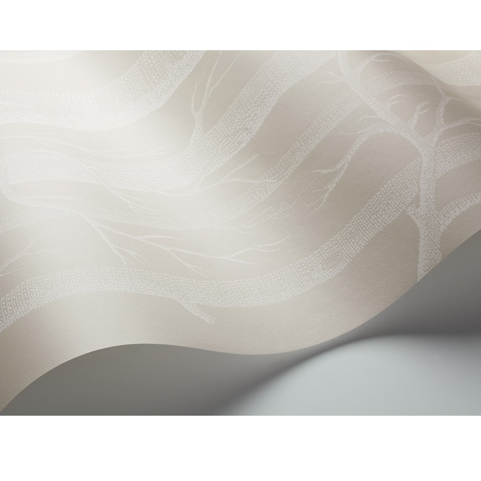 WOODS 112/3010 TAPETA COLE&SON