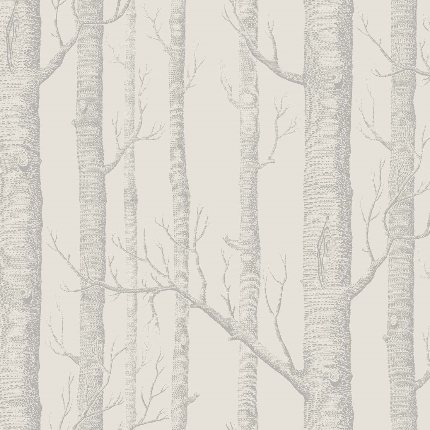 WOODS 112/3011 TAPETA COLE&SON