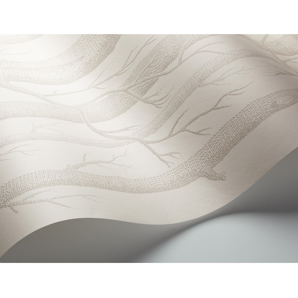 WOODS 112/3011 TAPETA COLE&SON