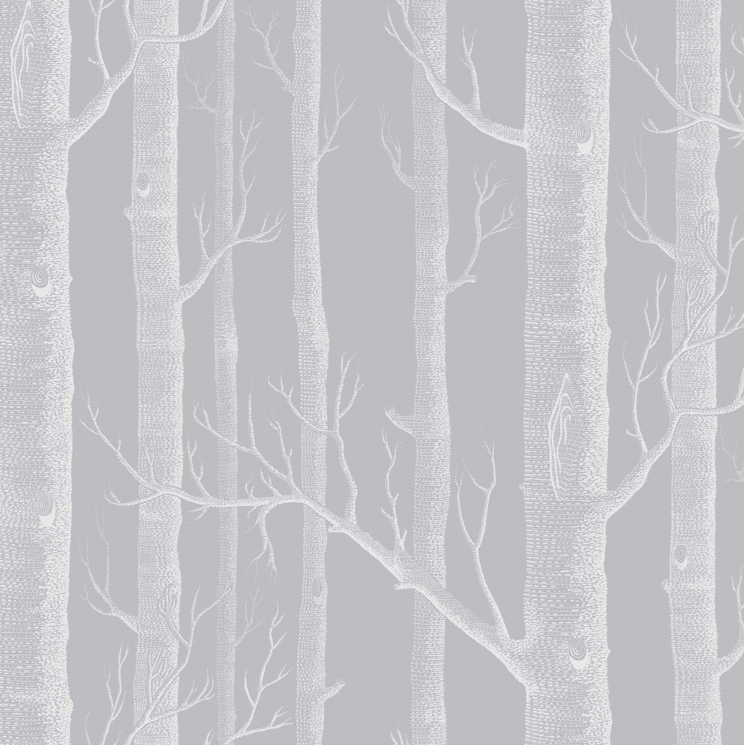 WOODS 112/3012 TAPETA COLE&SON