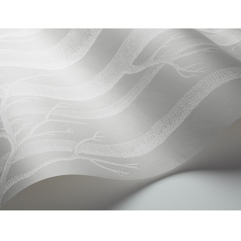 WOODS 112/3012 TAPETA COLE&SON