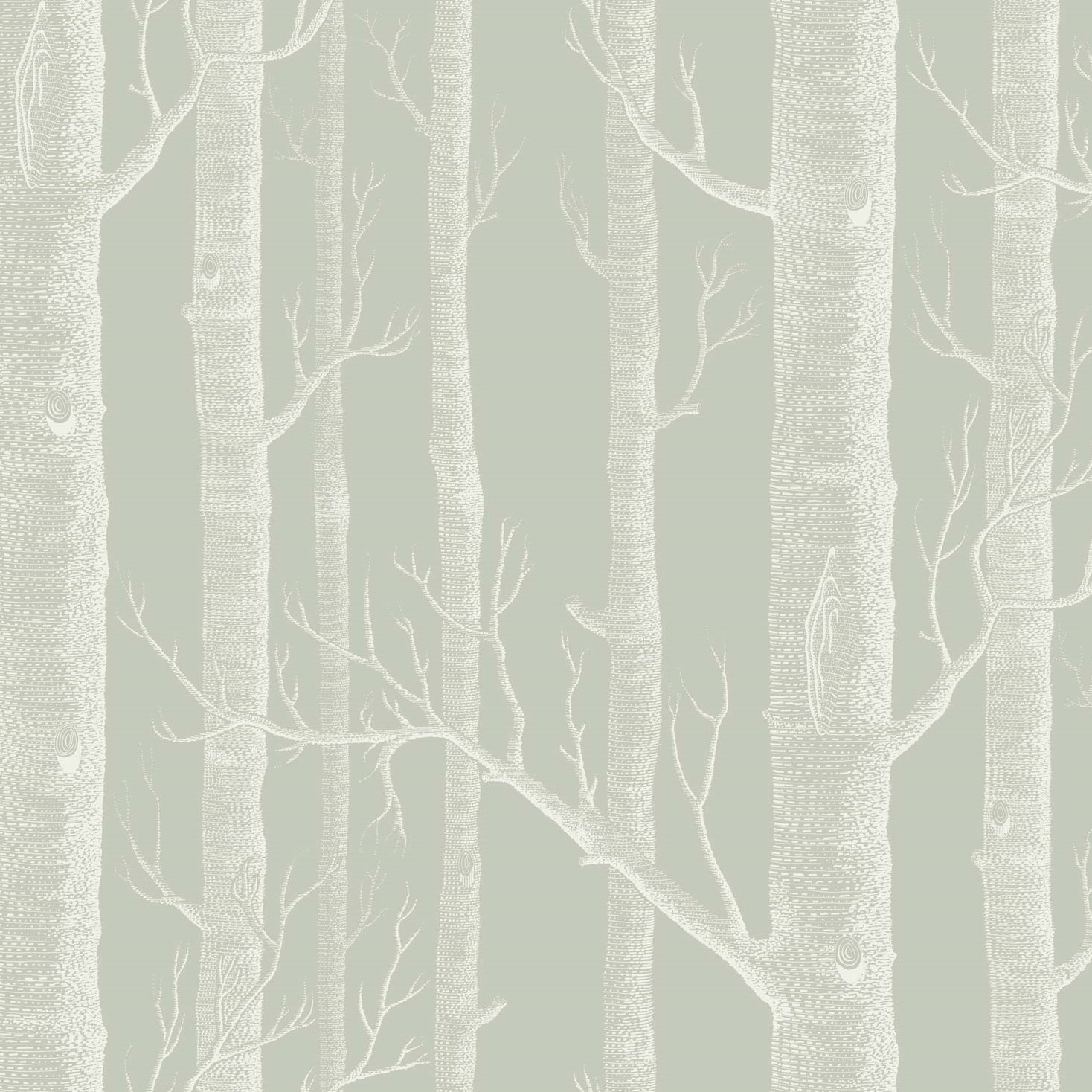 WOODS 112/3013 TAPETA COLE&SON