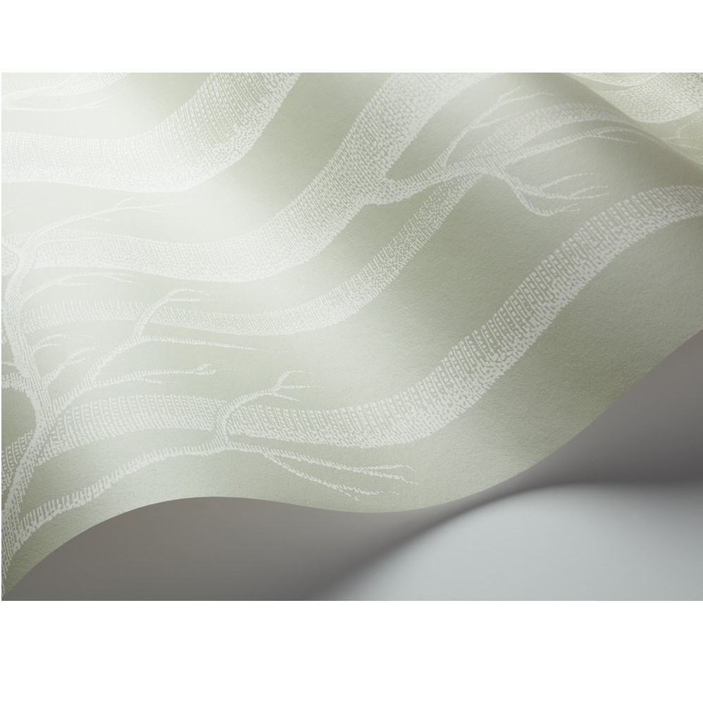 WOODS 112/3013 TAPETA COLE&SON